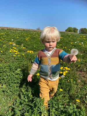Carousel Cardigan Crochet Pattern